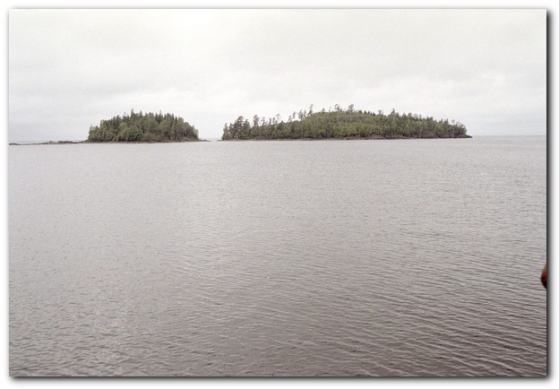600x409 pixels (59K)