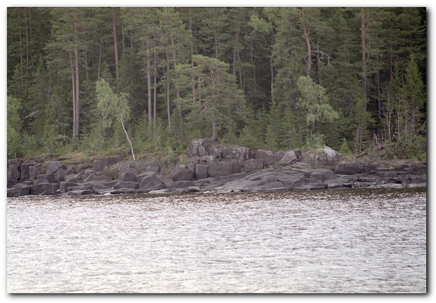 600x409 pixels (99K)