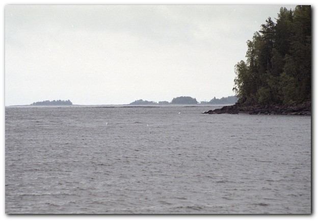 600x409 pixels (59K)