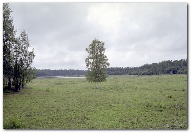 600x409 pixels (71K)