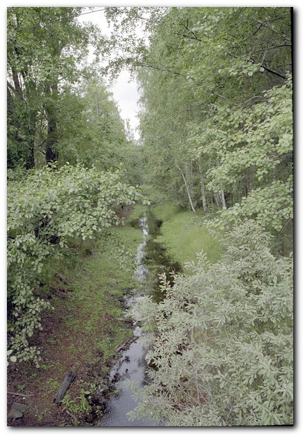 410x599 pixels (125K)