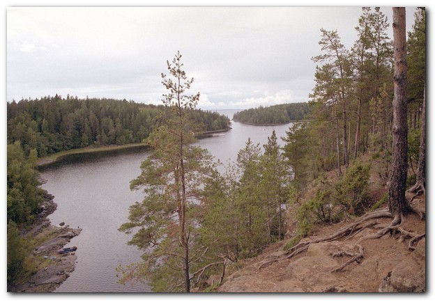 600x409 pixels (85K)