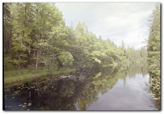 600x409 pixels (82K)