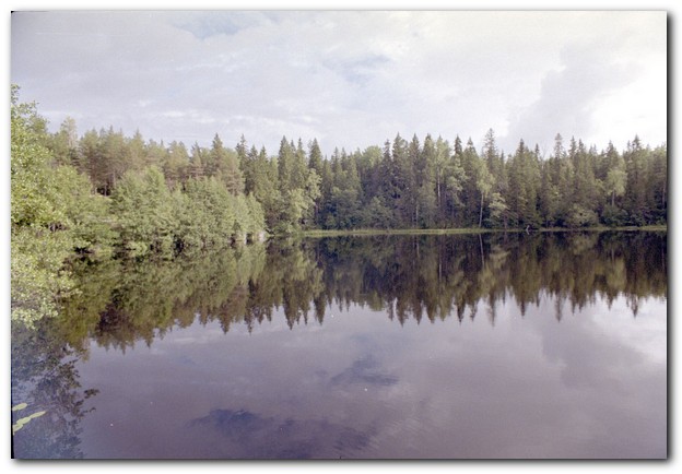 600x409 pixels (67K)