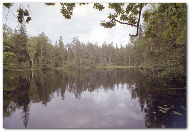 600x409 pixels (78K)