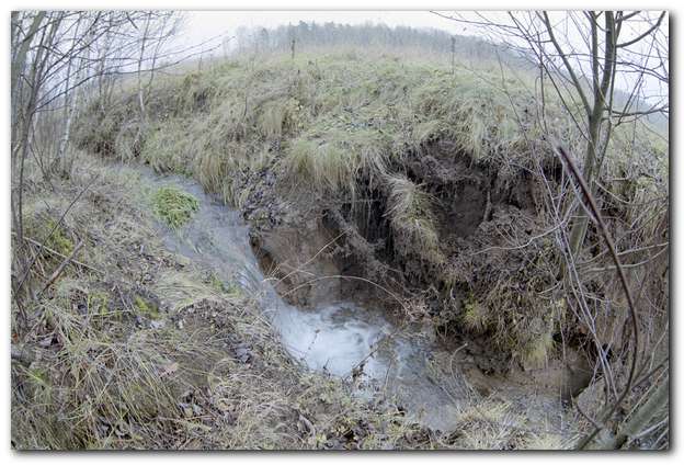 600x399 pixels (52K)
