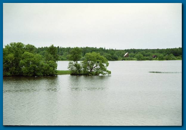 600x410 pixels (29K)