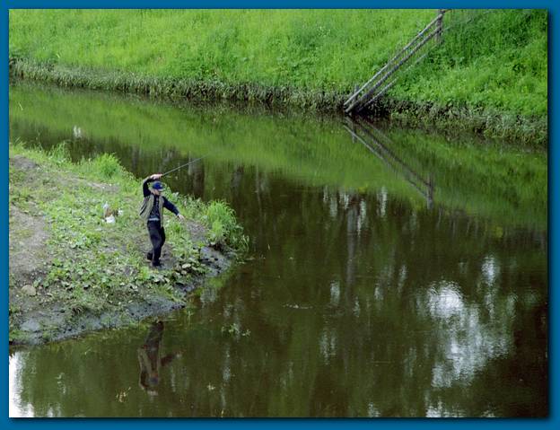 600x454 pixels (49K)