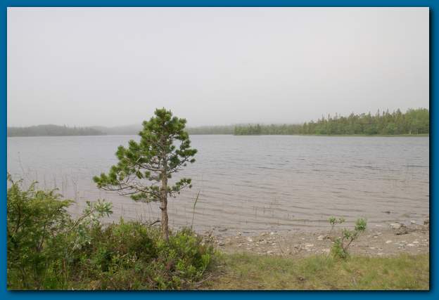 600x402 pixels (26K)