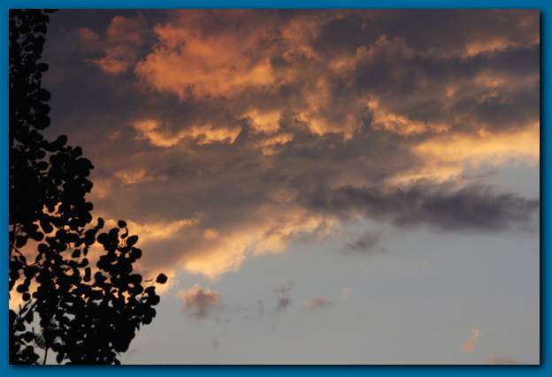 600x402 pixels (24K)