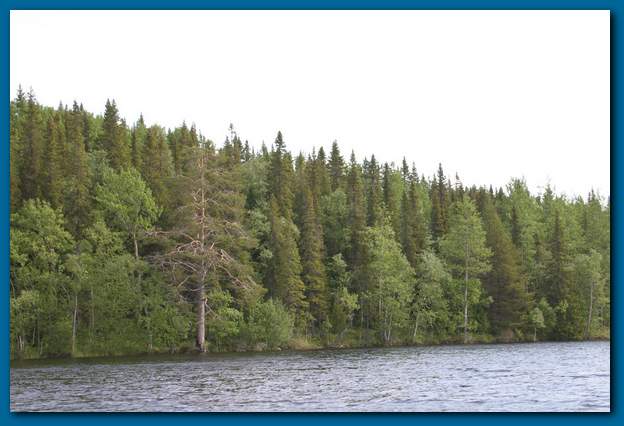 600x401 pixels (35K)