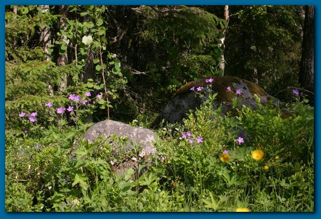 600x401 pixels (60K)