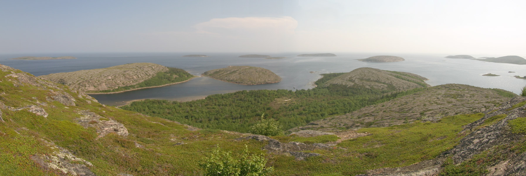 1770x575 pixels (250K)