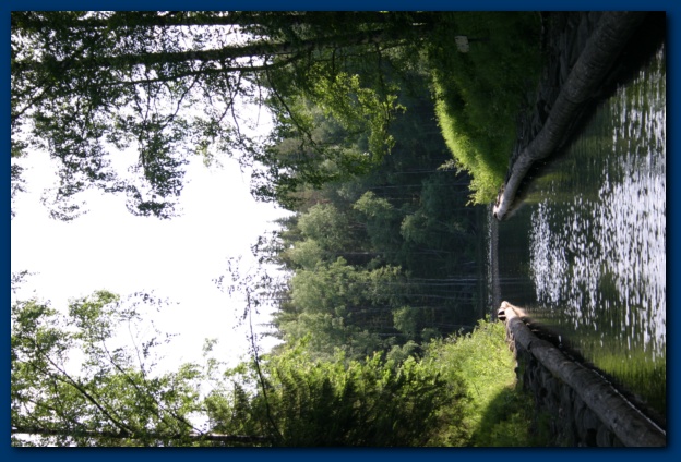 600x399 pixels (138K)